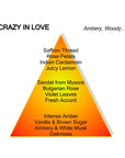 CRAZY IN LOVE