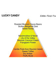 LUCKY CANDY